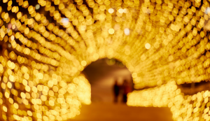 Encendido luces Vigo 2025: cuando será. Foto de Buddy An.