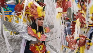 Entroido 2026 Vigo: tradición y disfrute.